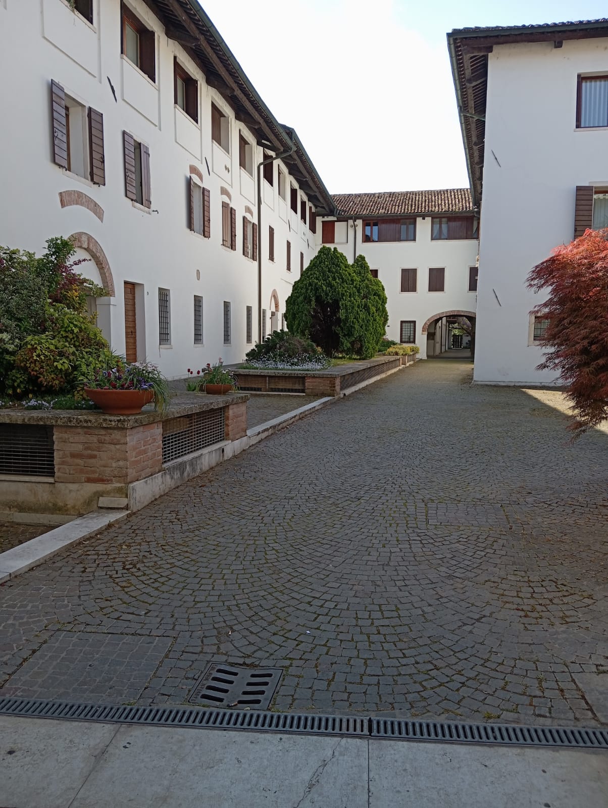 Suite Mirandola in Sant'Andrea