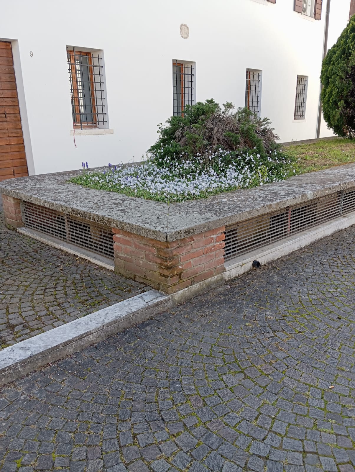 Suite Mirandola in Sant'Andrea